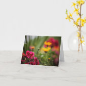 De kleuren van de kaarten van de Nota van de Zomer (Gele Bloem)