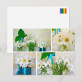 De kleuren van de lente, witte bloemen briefkaart (Voorkant / Achterkant)