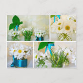 De kleuren van de lente, witte bloemen briefkaart (Voorkant)