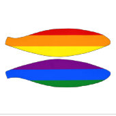 De kleuren van de regenboog basketbal (Panelen)