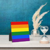 De kleuren van de regenboog fotoplaat (Insitu)