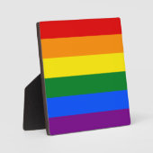 De kleuren van de regenboog fotoplaat (Voorkant)