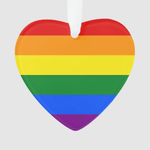 De kleuren van de regenboog ornament