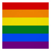 De kleuren van de regenboog perfect poster (Voorkant)