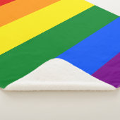 De kleuren van de regenboog sherpa deken (3/4)