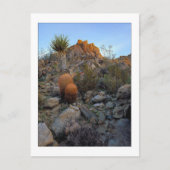 "De Kleuren van de Route van de rand " Briefkaart (Voorkant)