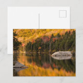 De kleuren van de val weerspiegelen op Beaver Pond Briefkaart (Voorkant / Achterkant)