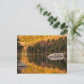 De kleuren van de val weerspiegelen op Beaver Pond Briefkaart (Staand voorkant)