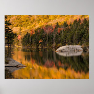 De kleuren van de val weerspiegelen op Beaver Pond Poster