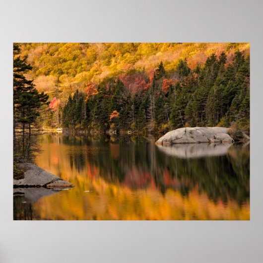 De kleuren van de val weerspiegelen op Beaver Pond Poster (Voorkant)
