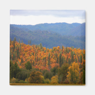 De kleuren van de West Coast Fall... Magneet