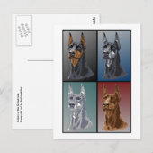 De Kleuren van Doberman Briefkaart (Voorkant / Achterkant)
