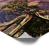 De kleuren van het Poster Grand Canyon (Hoek)