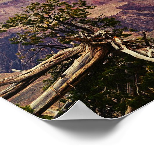 De kleuren van het Poster Grand Canyon (Hoek)
