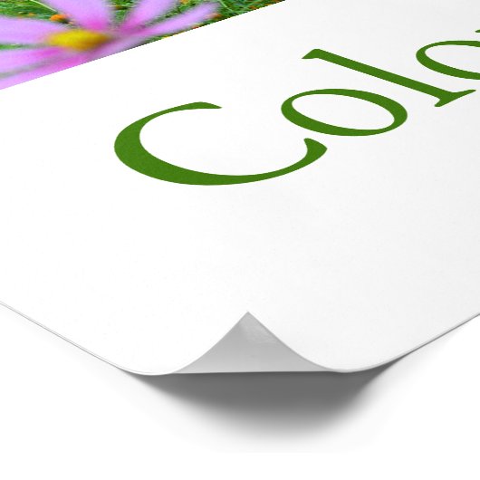 De kleuren van Japan (groen) Poster (Hoek)