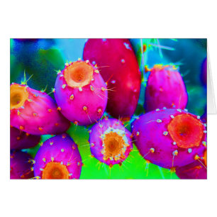 De kleuren van Prickly Pears