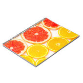 De kleurencitrusplakken van de gradiënt op witte a notitieboek (Linkerzijde)