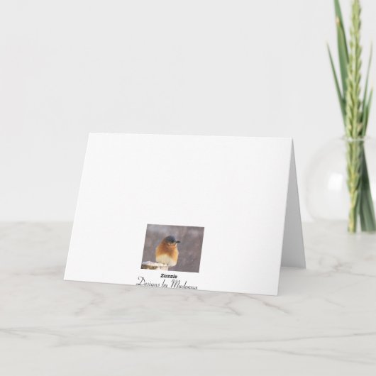 De kleurrijke Collage van de Vogel Feestdagen Kaart (Achterkant)