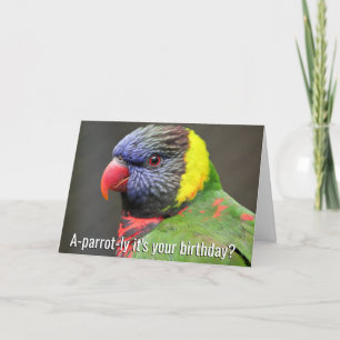 De kleurrijke Kaart van de Verjaardag Lorikeet
