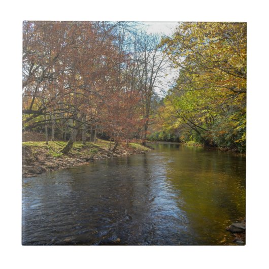 De kleurrijke Reflecties van de Herfst op de Natuu Tegeltje (Voorkant)