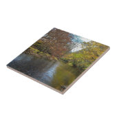 De kleurrijke Reflecties van de Herfst op de Natuu Tegeltje (Zijkant)