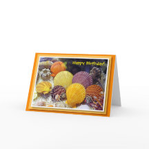 De kleurrijke Shells Kaart van de Verjaardag