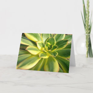 De kleurrijke Succulente #2 Kaart van de Nota