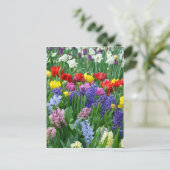 De kleurrijke tuin van de de lentebloem briefkaart (Staand voorkant)