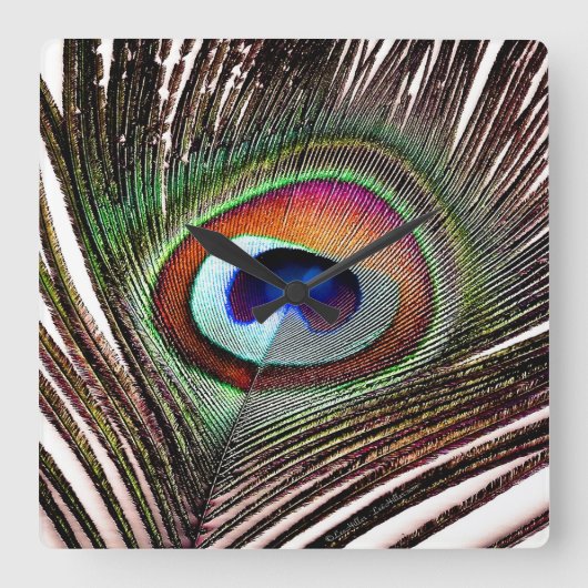De kleurrijke Veer van de Pauw van het Koper Vierkante Klok (Voorkant)