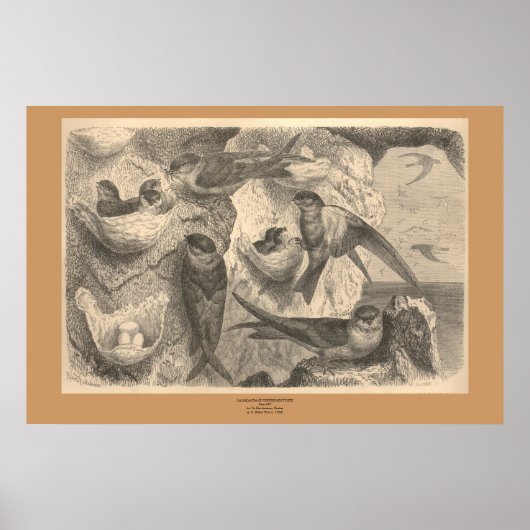 De kliefslik poster (Voorkant)