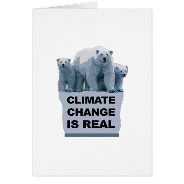 DE KLIMAATVERANDERING IS ECHT (Voorkant)