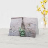 De Klimop van de barst door Richard Dodd Kaart (Gele Bloem)