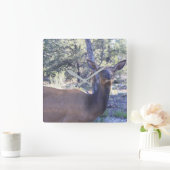 De Klok van Amerikaanse elanden (Huis)