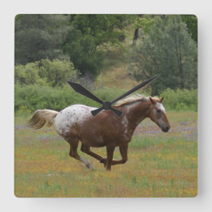 De Klok van Appaloosa