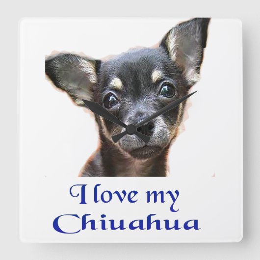 De klok van Chihuahua (Voorkant)