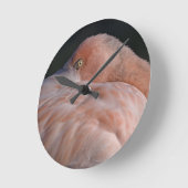 De Klok van de Flamingo van de slaap (Hoek)