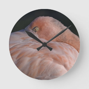 De Klok van de Flamingo van de slaap