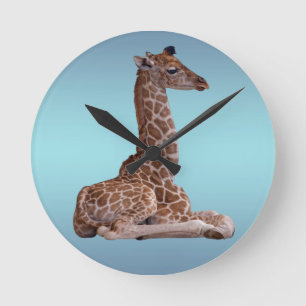 De Klok van de Giraffe van het baby (de Blauwe
