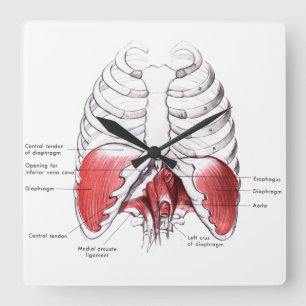 De Klokken van de Zaal van de massage