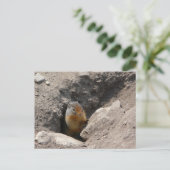 De knaagdieren ontstaan briefkaart (Staand voorkant)