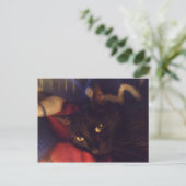 De knapste Kat in de Wereld Briefkaart (Staand voorkant)