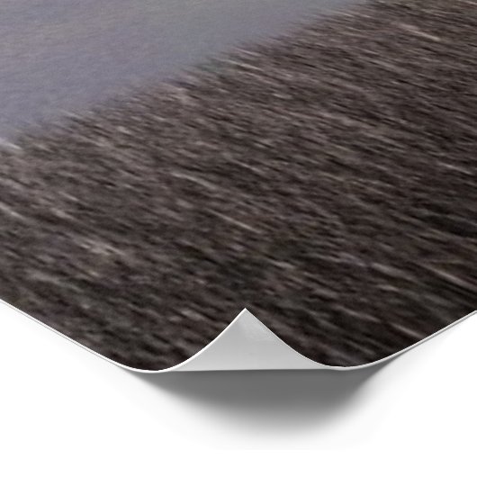 De Knight Templar en de Grail Poster (Hoek)