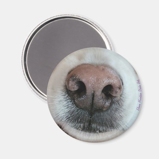 De knop Dog Nose #1 magneet (Voorkant / Achterkant)