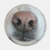 De knop Dog Nose #1 magneet (Voorkant)