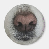 De knop Dog Nose #2 magneet (Voorkant)