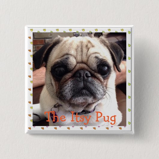 De knop Itsy Pug Vierkante Button 5,1 Cm (Voorkant)