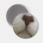 De knop Kat Knop #1 magneet (Voorkant / Achterkant)
