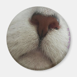 De knop Kat Knop #1 magneet