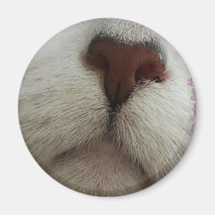 De knop Kat Knop #1 magneet