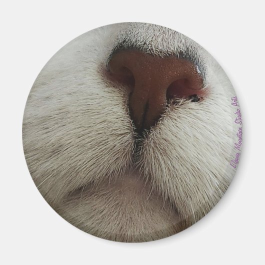 De knop Kat Knop #1 magneet (Voorkant)